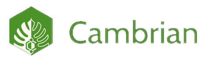 Cambrian Network